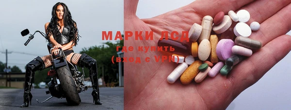 apvp Алексин