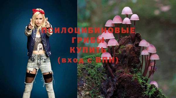 стаф Алексеевка