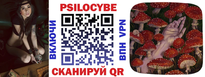 купить   Бикин  Псилоцибиновые грибы GOLDEN TEACHER 